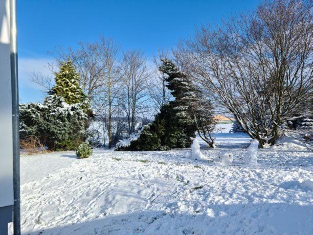 Pilgrims "Rosalie" Grosse Fewo Mit 3 Schlafzimmern, 1Bad, 2 Wc, Balkon, Fast Internet Brilon Exterior foto